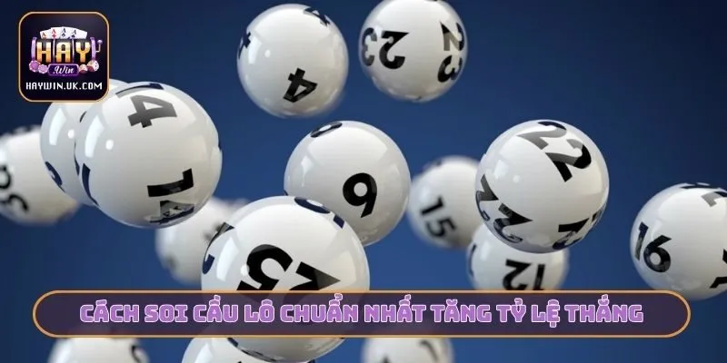 Cách soi cầu lô chuẩn nhất tăng tỷ lệ thắng