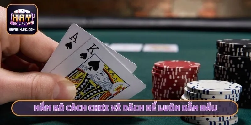 Nắm rõ cách chơi xì dách để luôn dẫn đầu